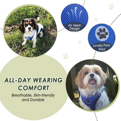 Dog Car Harness Seat Belt, Harness & Seatbelt with 2 in 1 Buckle | Adjustable Soft Breathable Mesh Harness, Reflective Elastic Reflective Tether, for Small Medium Large Dogs Pets (Blue, M)