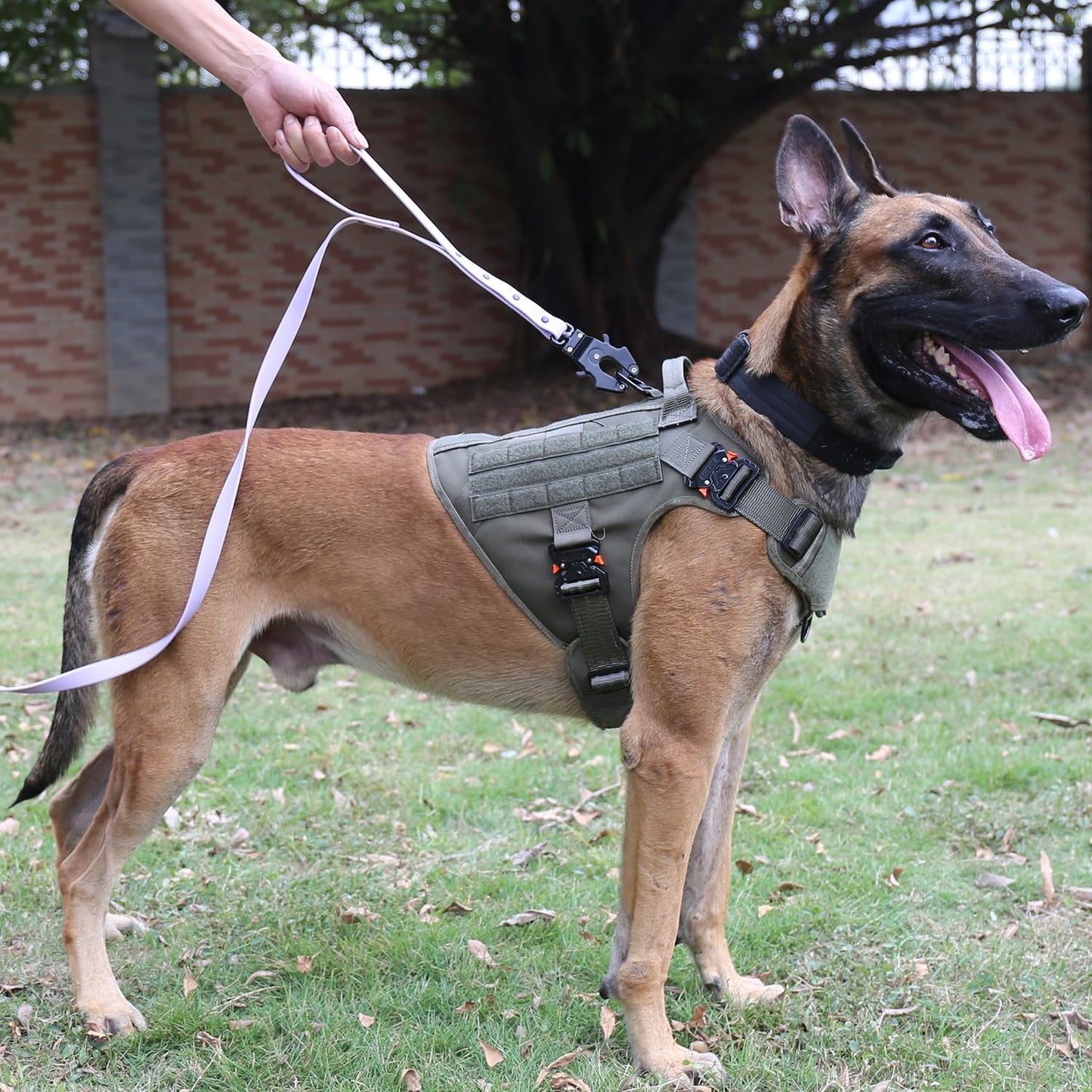 Tactical Dog Harness for Large Dogs,Full Metal Buckles Dog Vest | with MOLLE, Reflective,Adjustable,2 Leash Clips,Control Handle,No Pull,Soft Padded,Green,Large