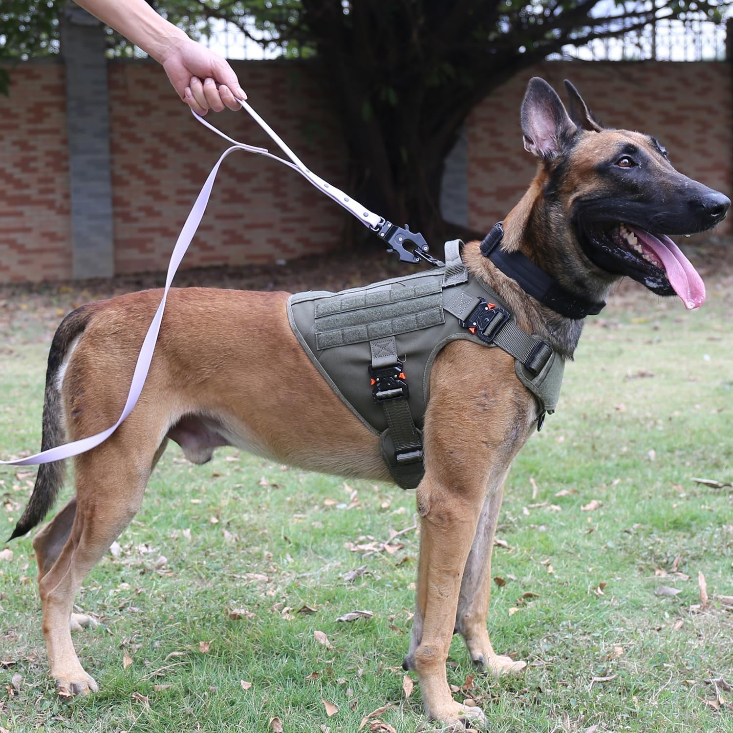 Tactical Dog Harness for Large Dogs,Full Metal Buckles Dog Vest | with MOLLE, Reflective,Adjustable,2 Leash Clips,Control Handle,No Pull,Soft Padded,Green,Large
