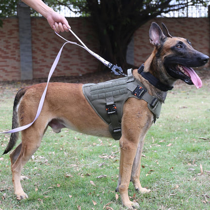 Tactical Dog Harness for Large Dogs,Full Metal Buckles Dog Vest | with MOLLE, Reflective,Adjustable,2 Leash Clips,Control Handle,No Pull,Soft Padded,Green,Large