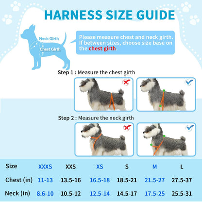Dog Car Harness Seat Belt, Harness & Seatbelt with 2 in 1 Buckle | Adjustable Soft Breathable Mesh Harness, Reflective Elastic Reflective Tether, for Small Medium Large Dogs Pets (Blue, M)