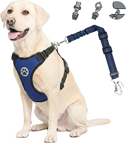 Dog Car Harness Seat Belt, Harness & Seatbelt with 2 in 1 Buckle | Adjustable Soft Breathable Mesh Harness, Reflective Elastic Reflective Tether, for Small Medium Large Dogs Pets (Blue, M)