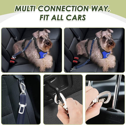 Dog Car Harness Seat Belt, Harness & Seatbelt with 2 in 1 Buckle | Adjustable Soft Breathable Mesh Harness, Reflective Elastic Reflective Tether, for Small Medium Large Dogs Pets (Blue, M)